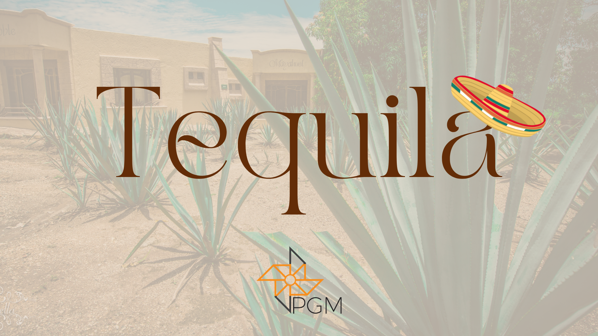 Tequila Blog